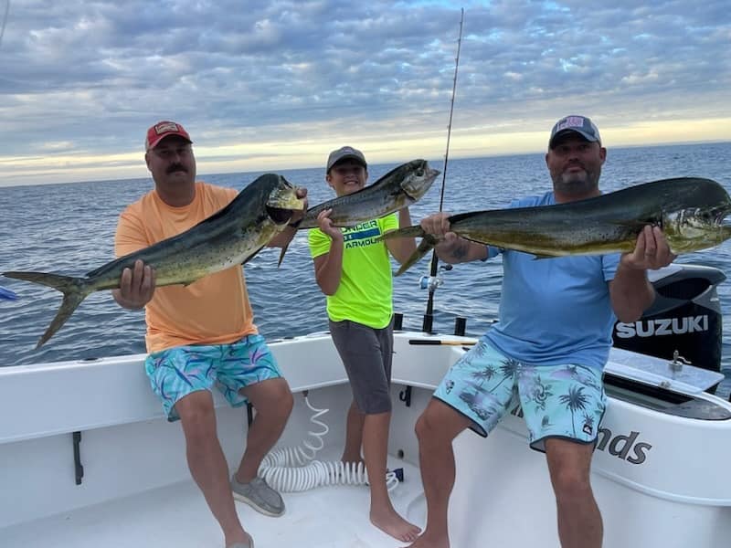 Stuart Live Bait