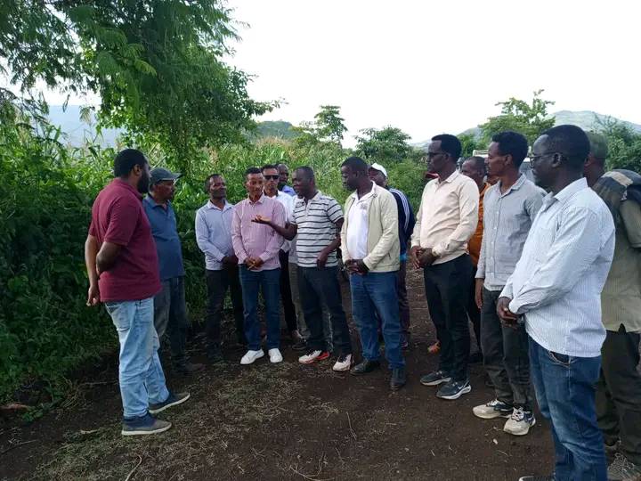 ጎፋ ዞን ዑባ/ደ/ፀ/ወ/ትራ/መ/ል/ፅ/ቤት... - ጎፋ ዞን ዑባ/ደ/ፀ/ወ/ትራ/መ/ል/ፅ/ቤት