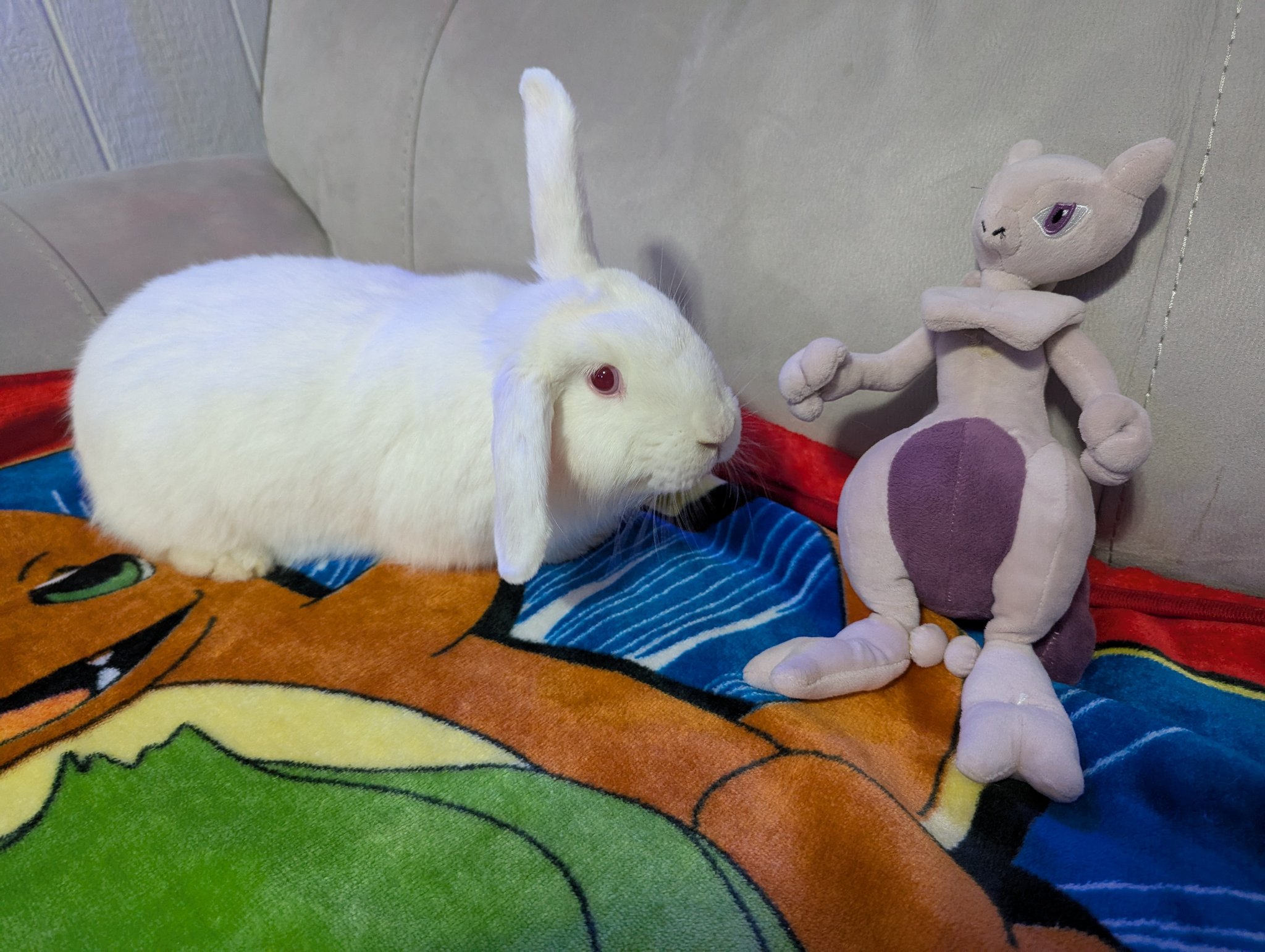 Snickerdoodles' Rabbit Rescue & Pet Loss Support