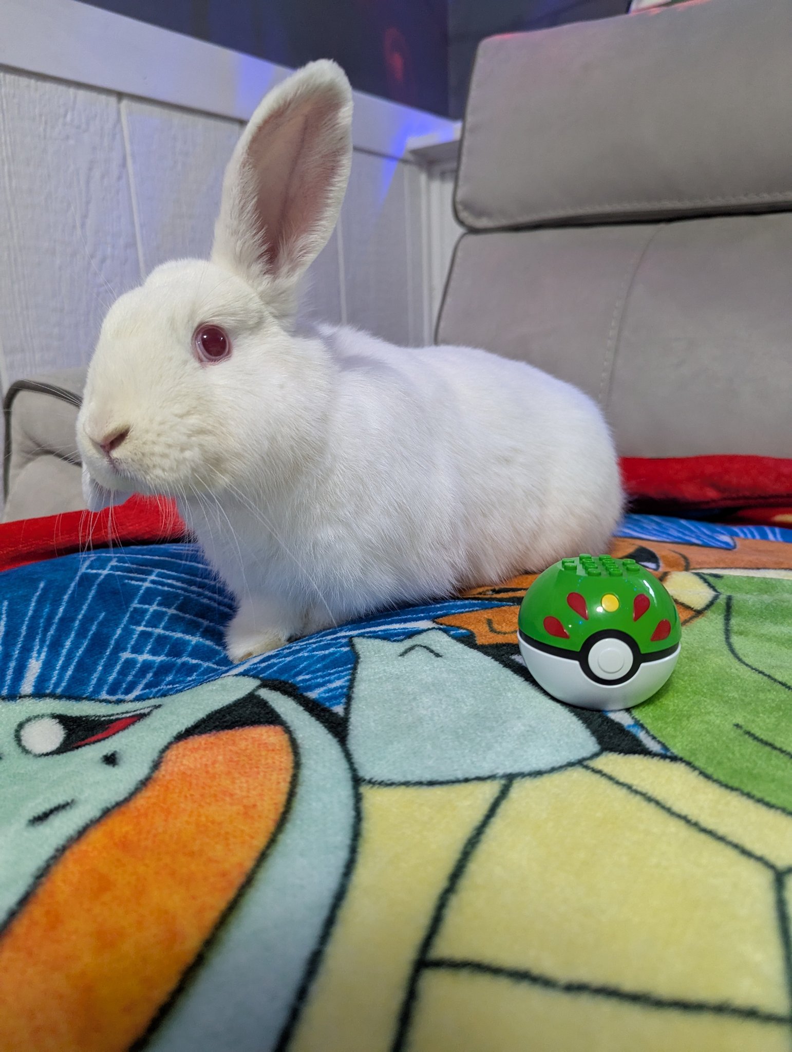 Snickerdoodles' Rabbit Rescue & Pet Loss Support
