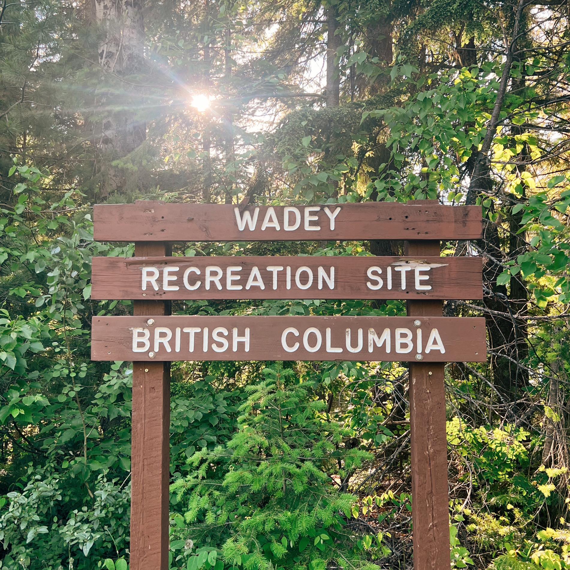 CAMPING IN British Columbia | We are looking forward to the long ...