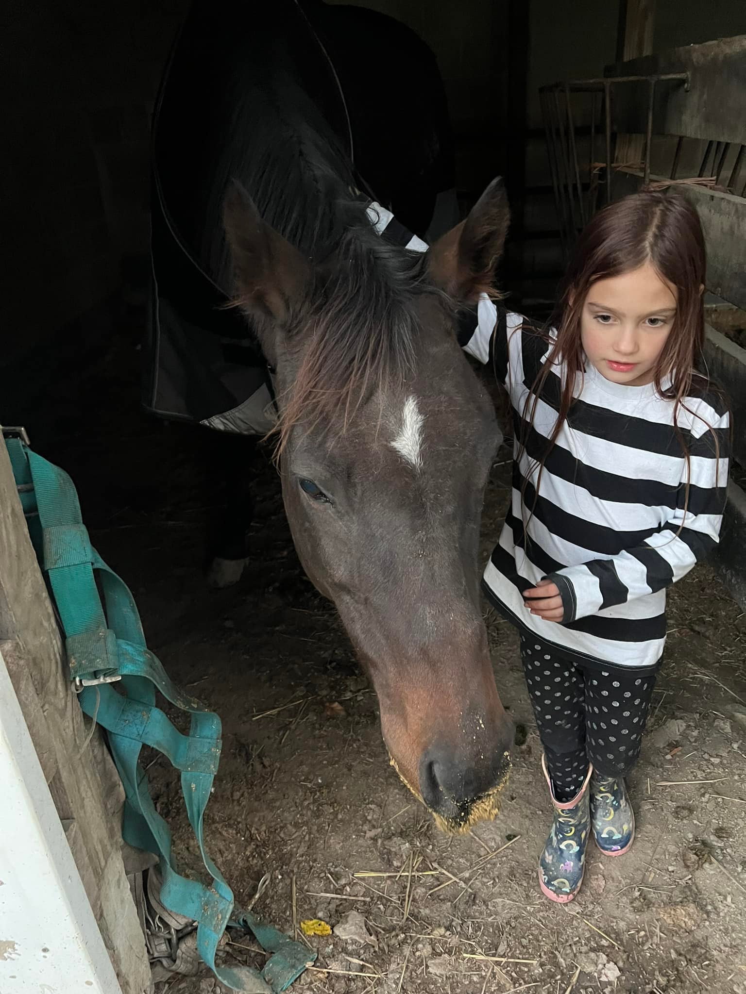 Endless Possibilities Equestrian | Angier NC