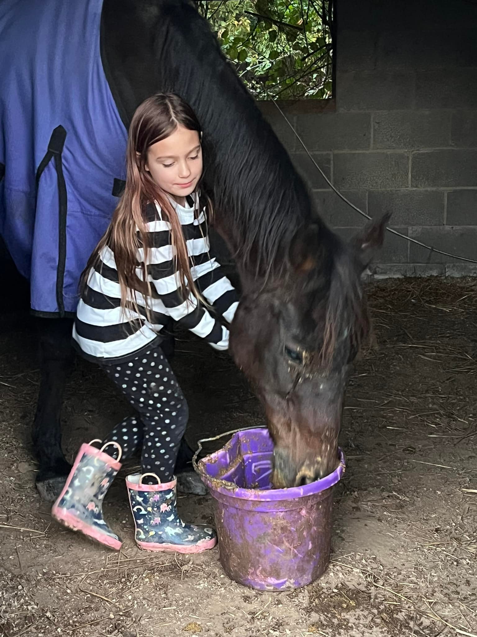 Endless Possibilities Equestrian | Angier NC