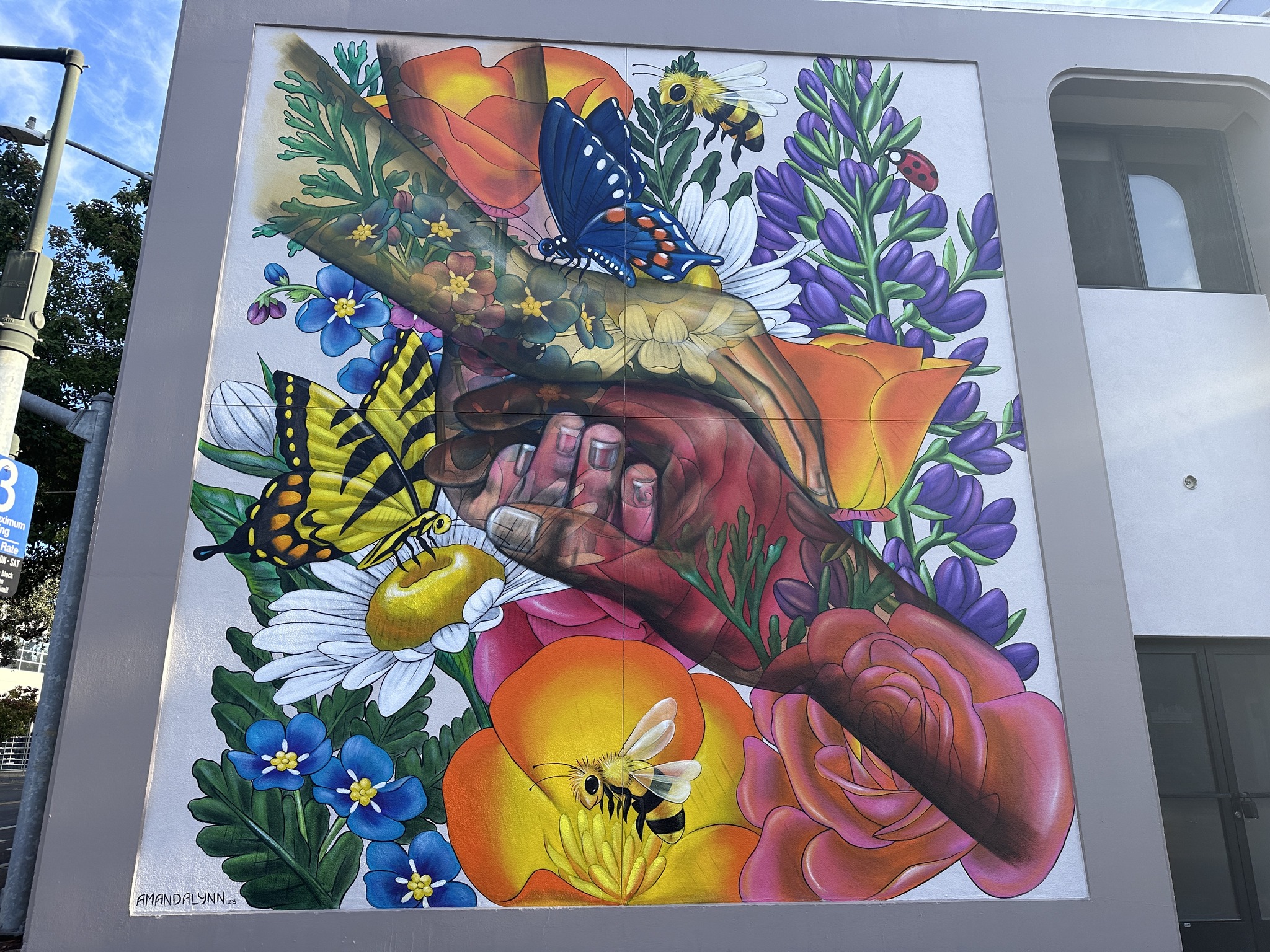 Have you seen the new artwork from... - Downtown Santa Rosa