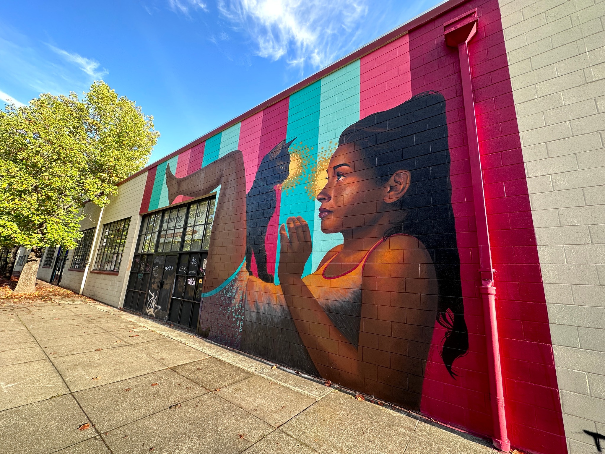 Have you seen the new artwork from... - Downtown Santa Rosa