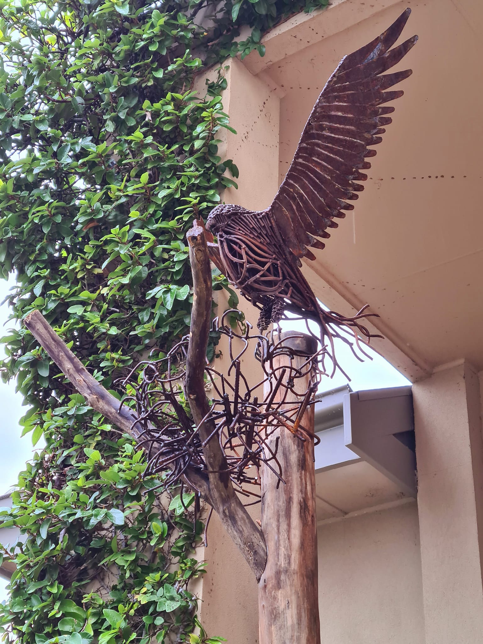 Cast iron eagle for front door decor