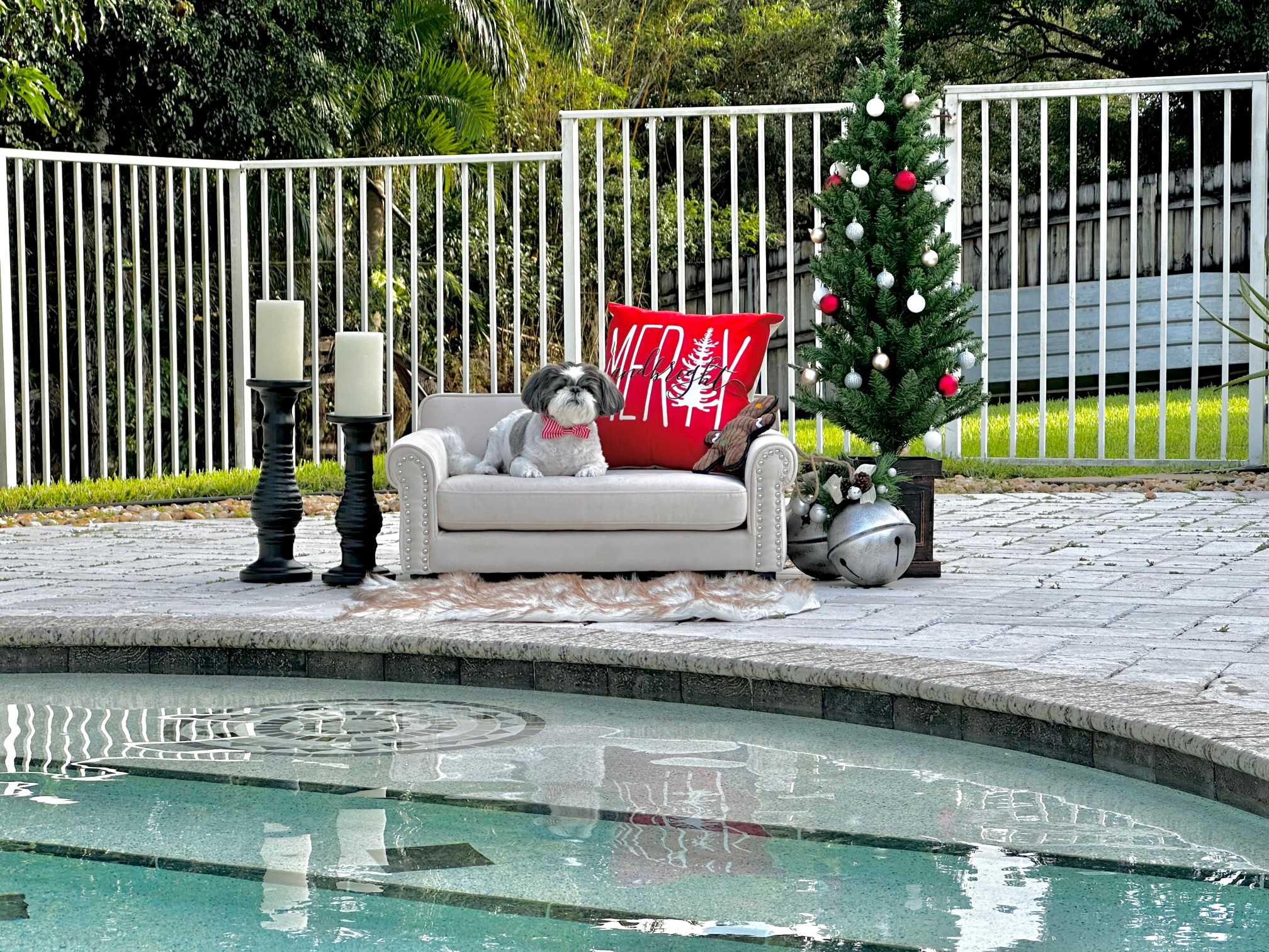 Cinelli Pools, Inc.