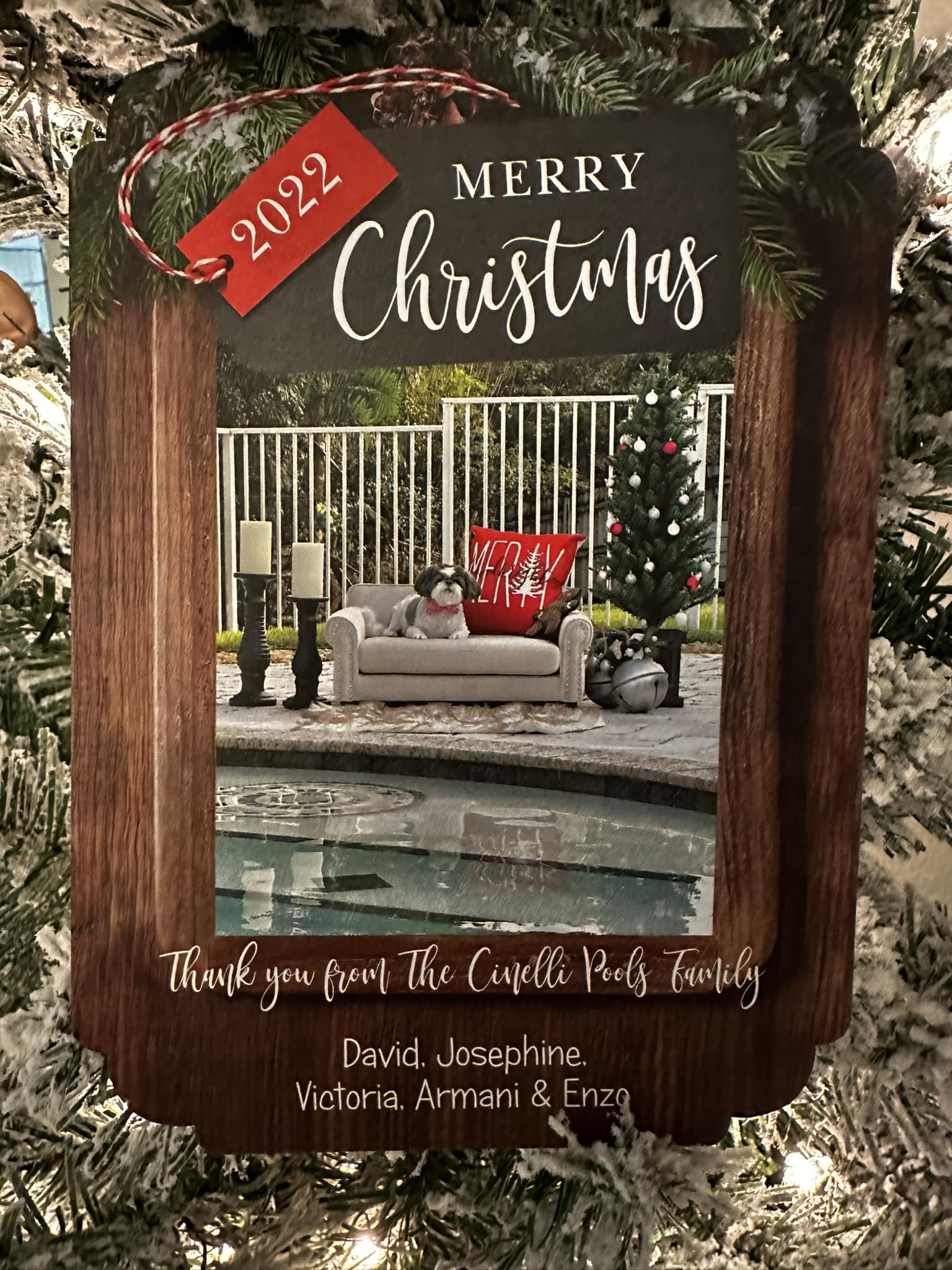 Cinelli Pools, Inc.