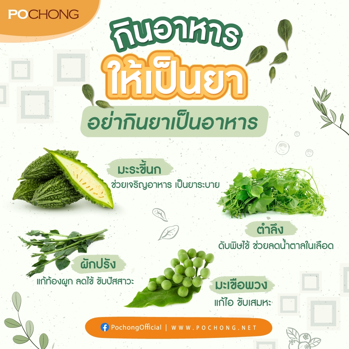 กินอาหารให้เป็นยา... - โพชง เครื่องดื่มสมุนไพร 32 ชนิด