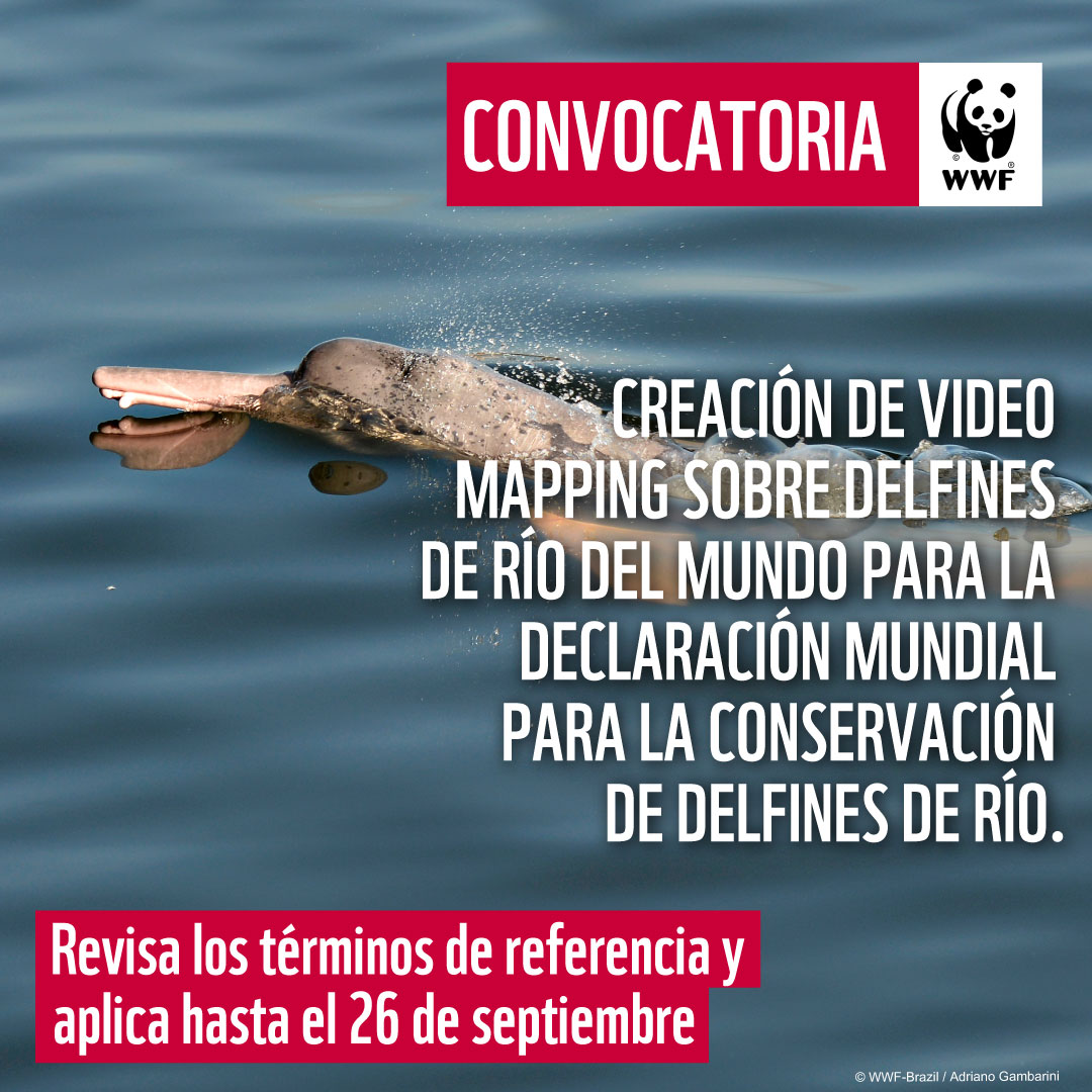 WWF - #EmpleoEC | Se busca profesionales para la consultoría en ...