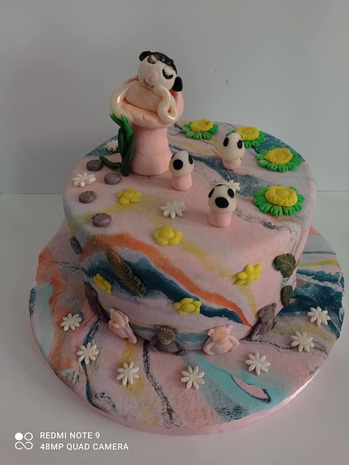 Amande Salma Gateau Personnalise Theme Fille Facebook