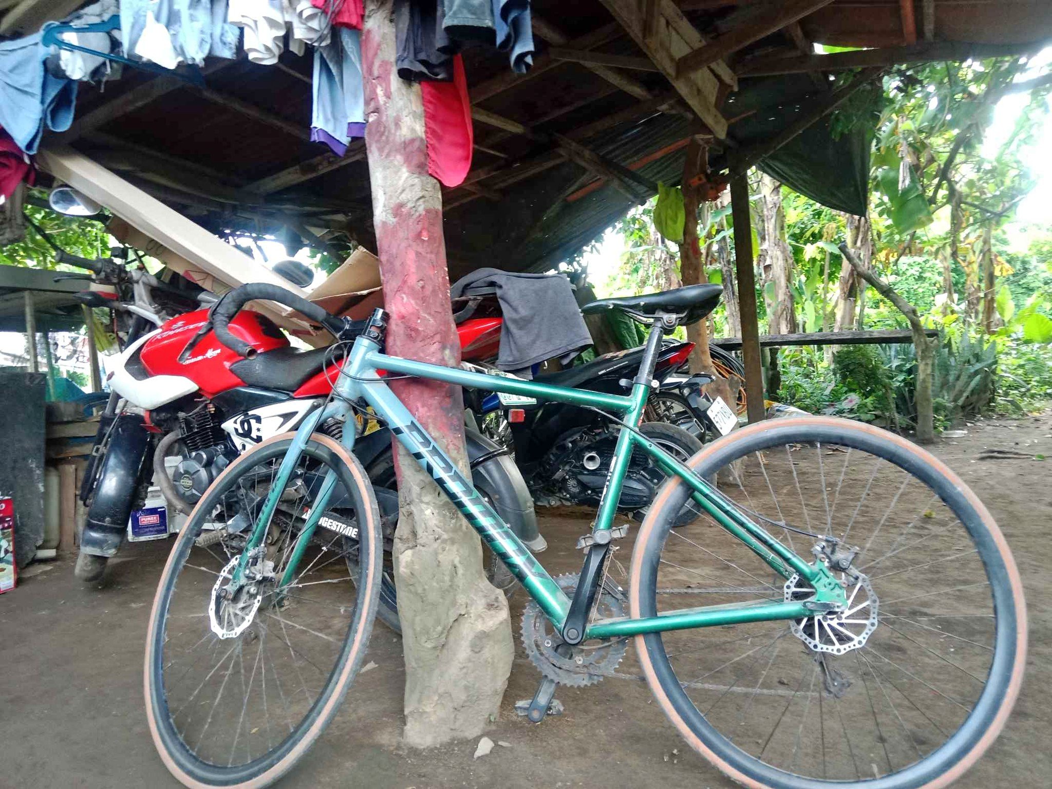 2024 Direct Bikes Promax pr30 - Bicycles - San Pablo City | Facebook ...