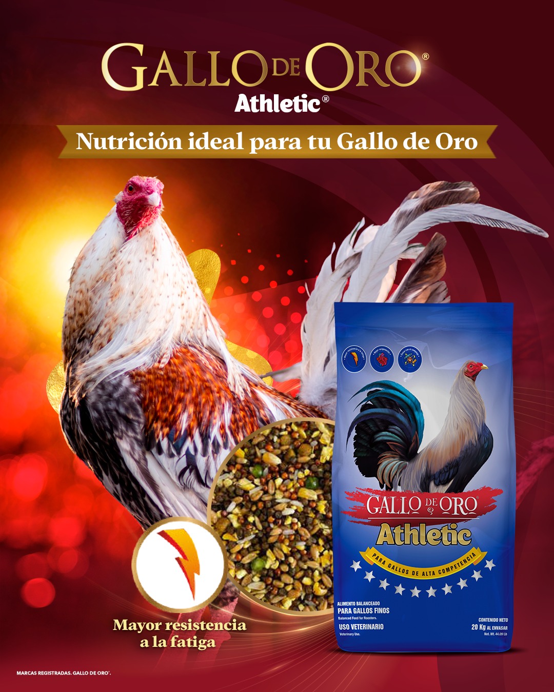 l carnitina para gallos de pelea Gallo Glow & Clean Face Wash Size:4500ct 600mg Veg. Caps. Buy sabun for man