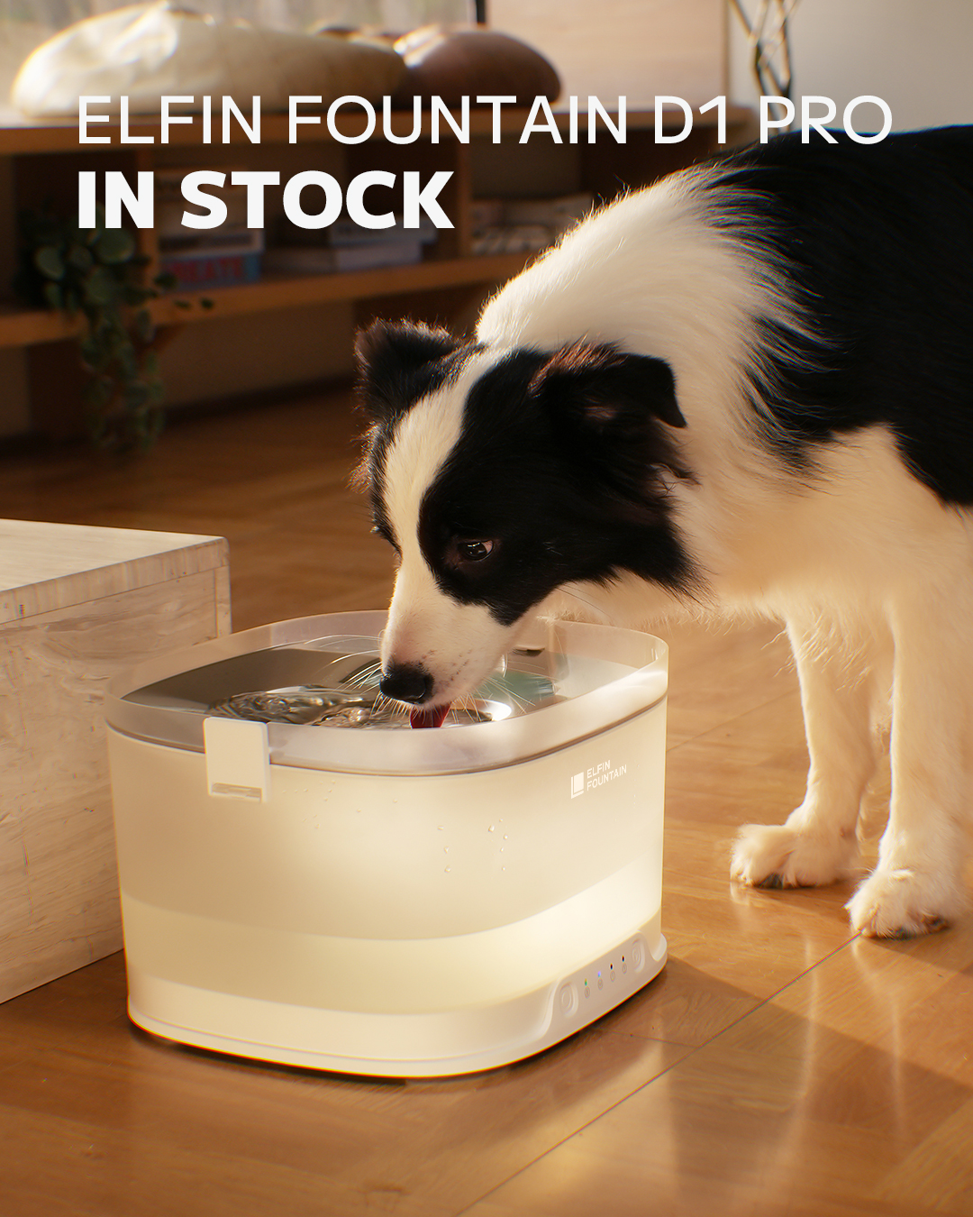 Elfin Fountain D1 Pro IS IN STOCK! Seize the holiday sale 20