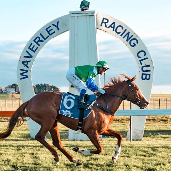 5 Sleeps to GO ! In 2024, local trainer Bill Thurlow had a day to ...
