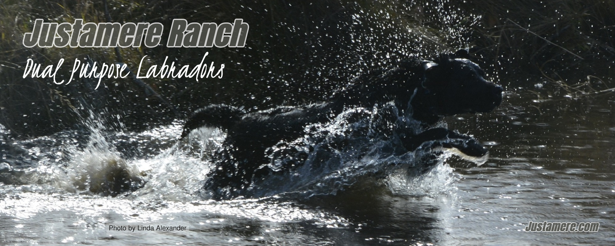 Justamere Ranch LLC