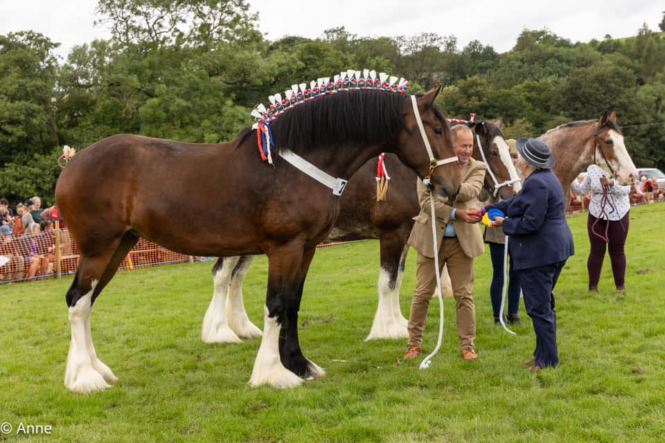 Rosedale Show - We are looking for sponsors to support the... | Facebook