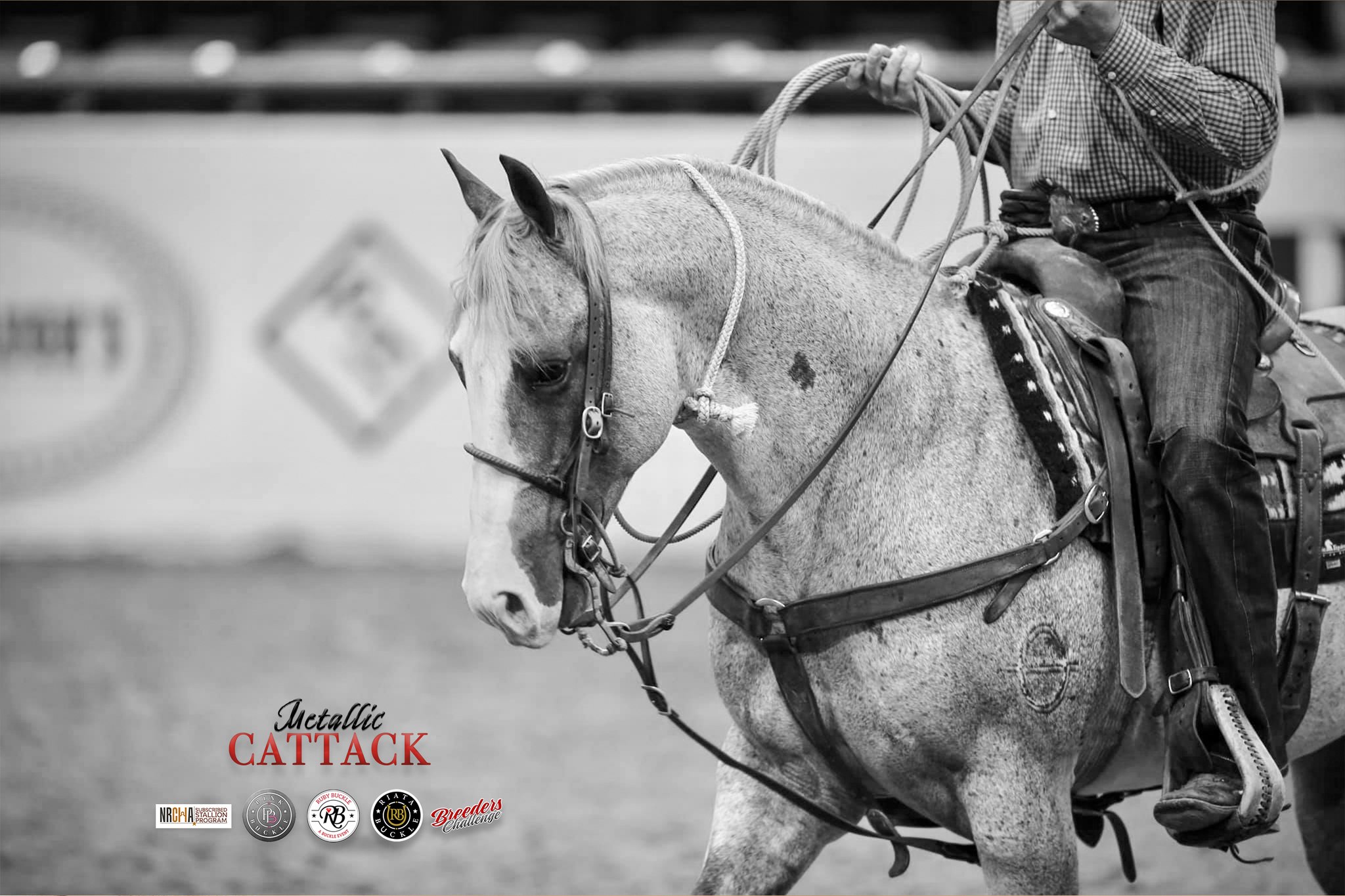 Metallic Cattack - Ruby Buckle, Riata Buckle & Royal Crown - # ...