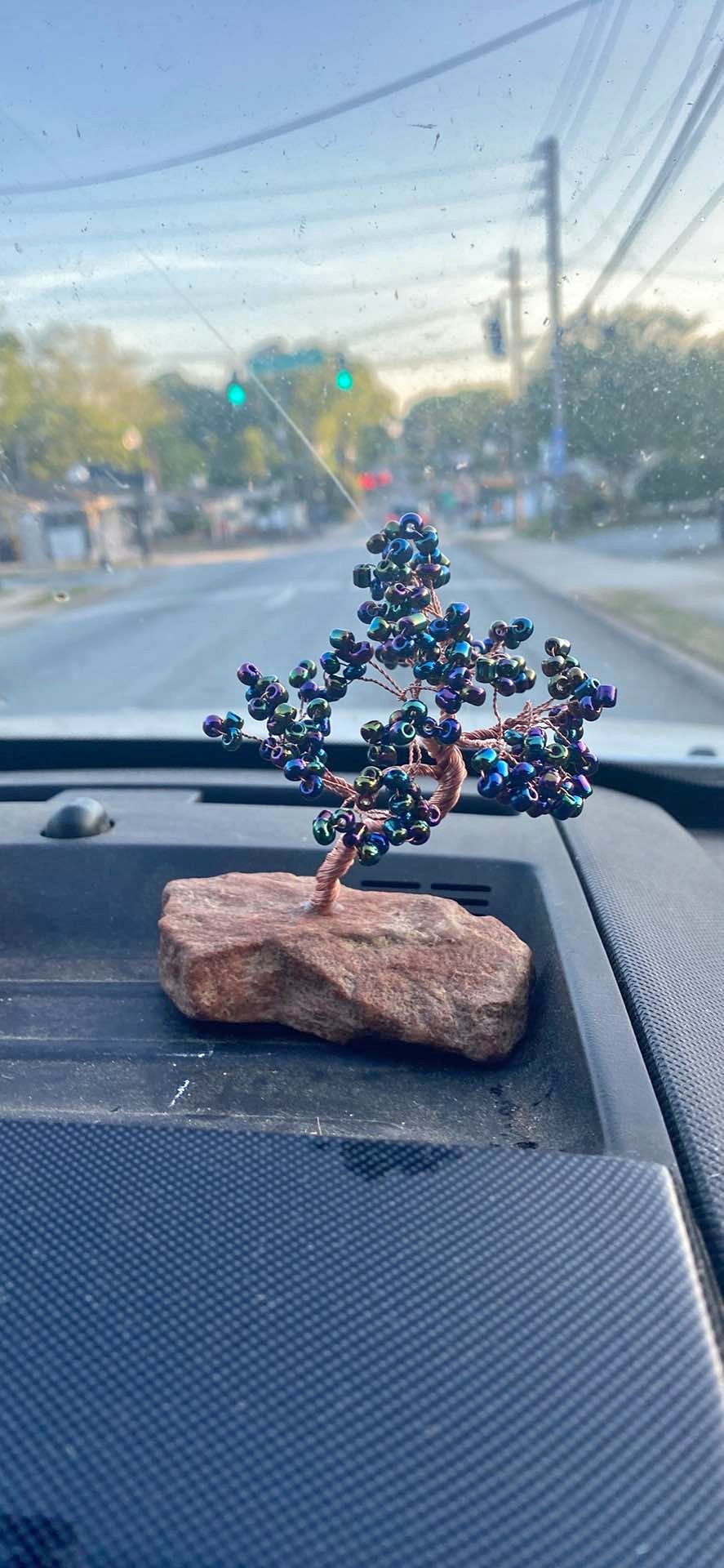 Bonsai Trees for sale in Auburn, Alabama | Facebook Marketplace