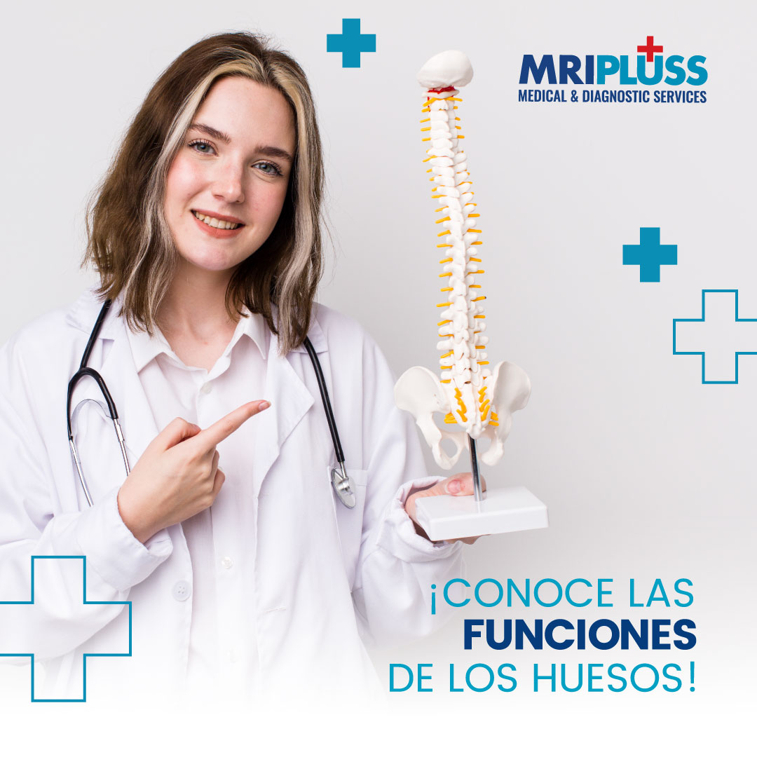 MRI PLUSS Inc. - ¡Conoce las funciones de los huesos!... | Facebook