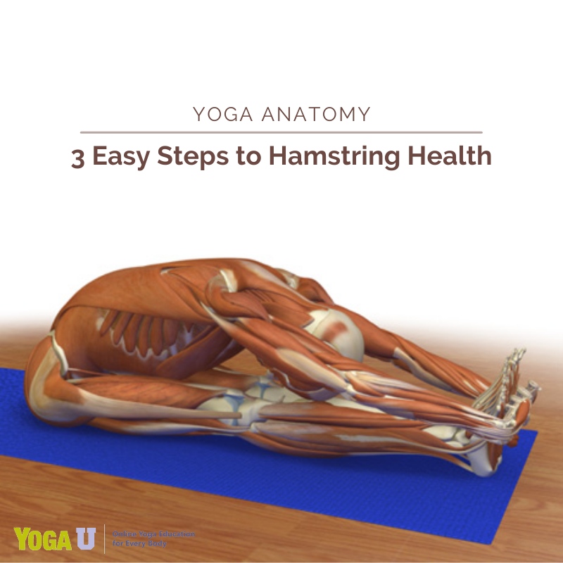 Yoga - Overstretching the hamstrings is one of the most common sources ...