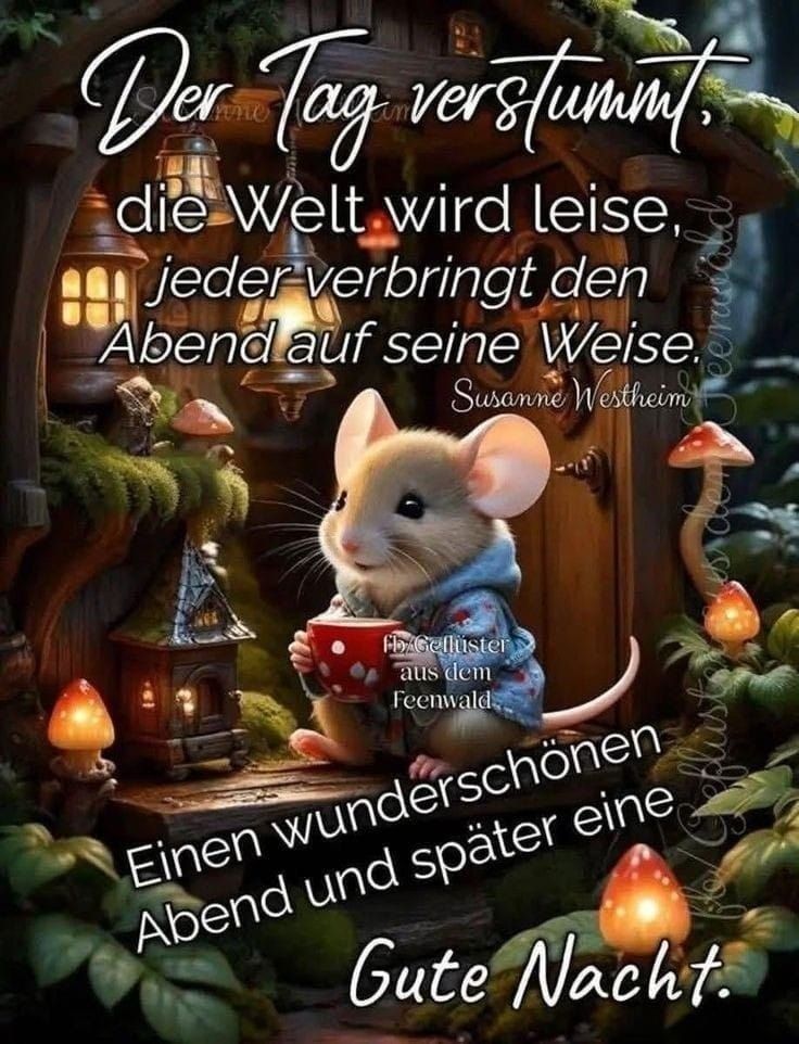 Fabelhafte Morgens Kaputter Als Abends Fotos