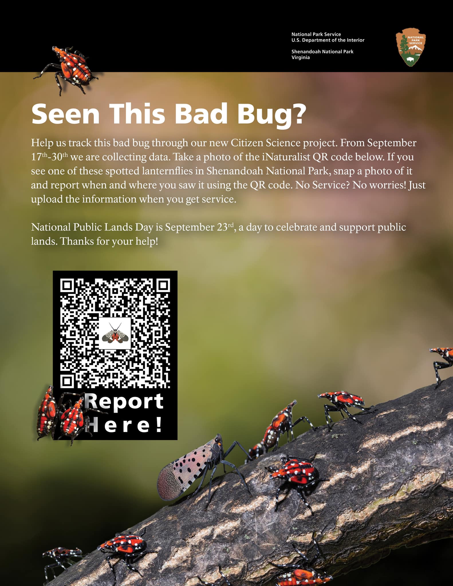 Have you seen this bad bug?!... - Shenandoah National Park | Facebook