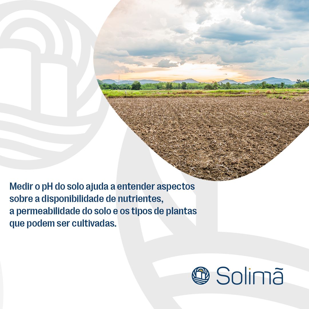 🌾 Curiosidade do dia 🌾 Sabia que o... - Cerealista Solimã