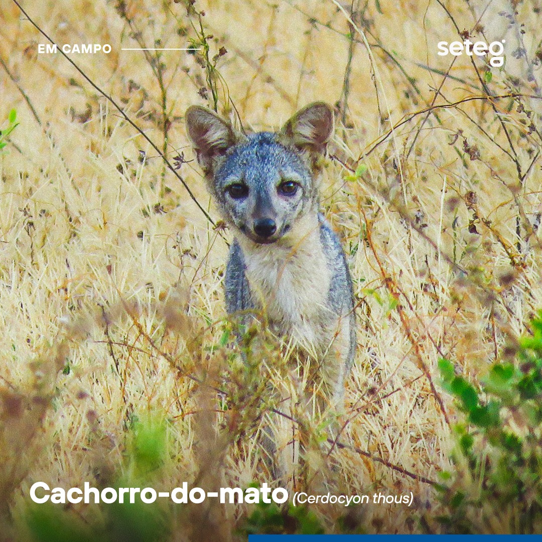 O... - SETEG - Soluções Geológicas e Ambientais | Facebook