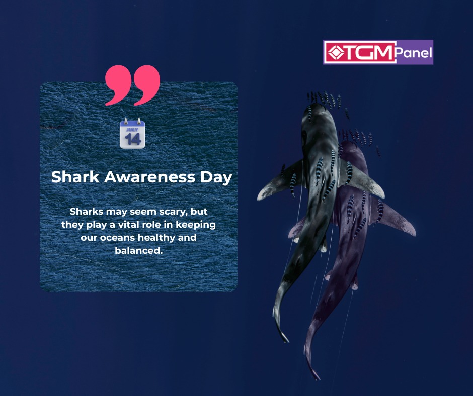 TGM - 🦈 Shark Awareness Day 🌊 Sharks may seem scary, but they play a ...