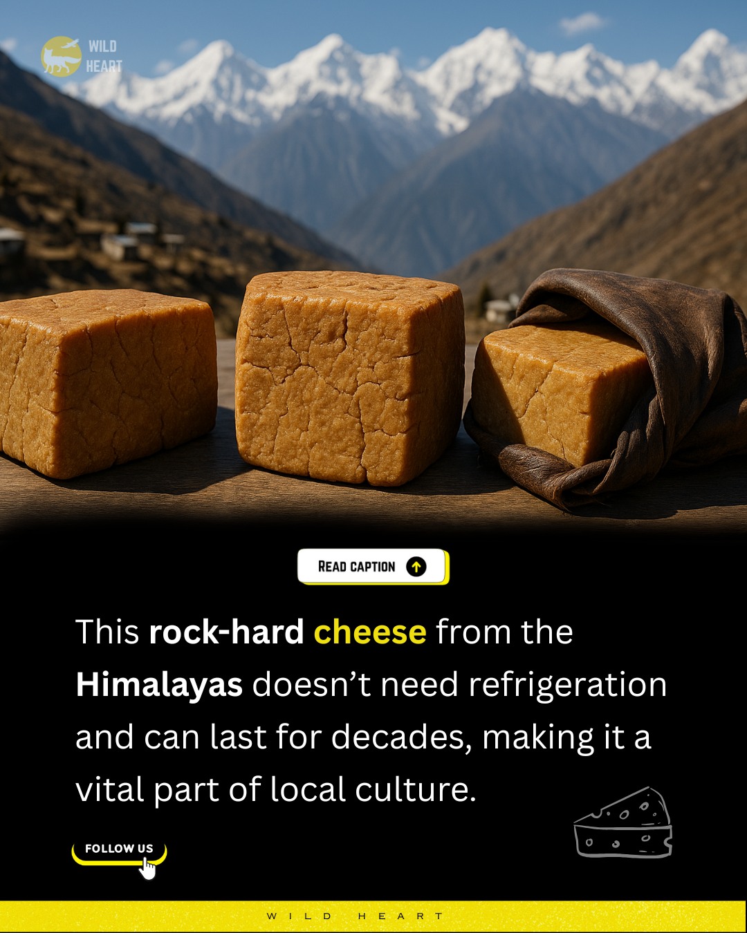 Wild - Himalayan Chhurpi is a cheese that can last up to 20 years—no ...