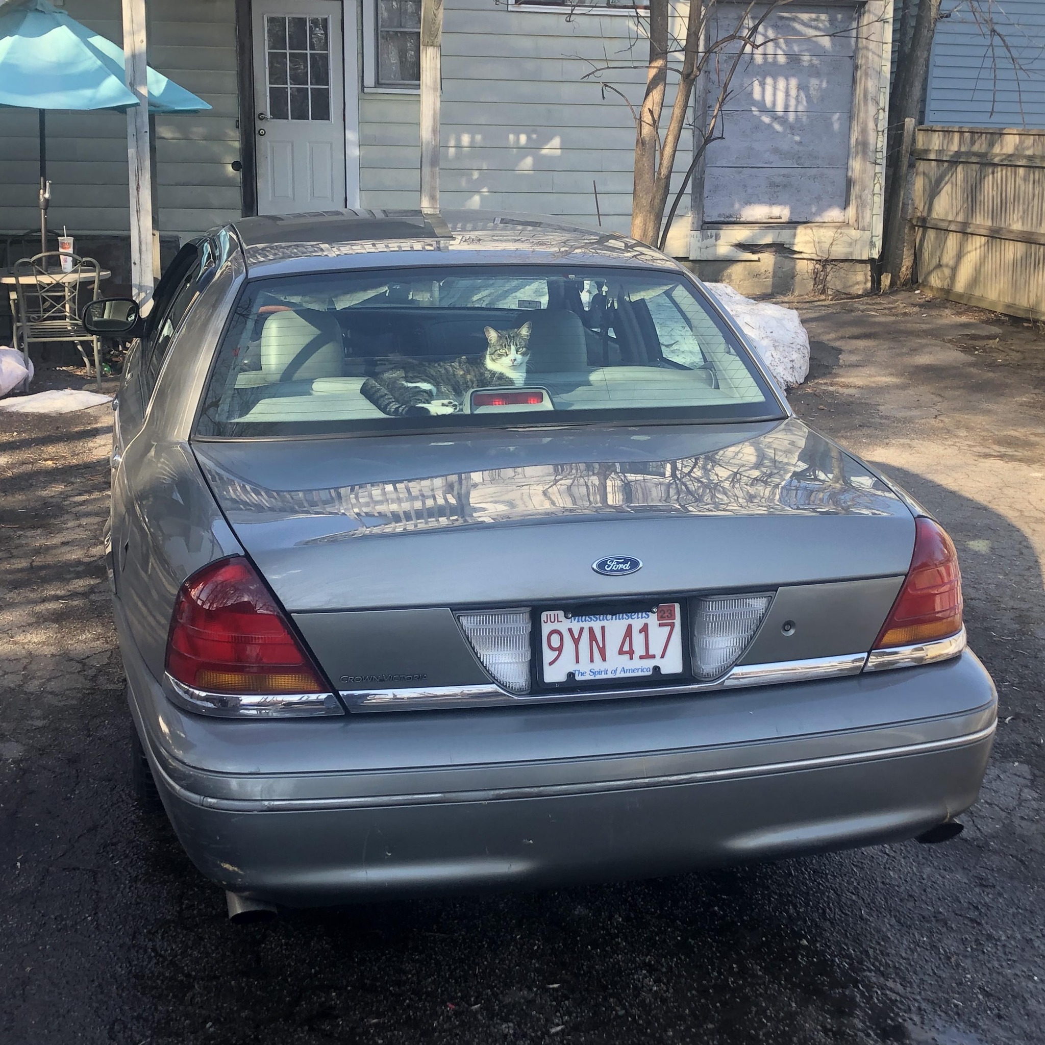 Underappreciated Survivors of the 70s, 80s, and 90s | 1997 dodge ...