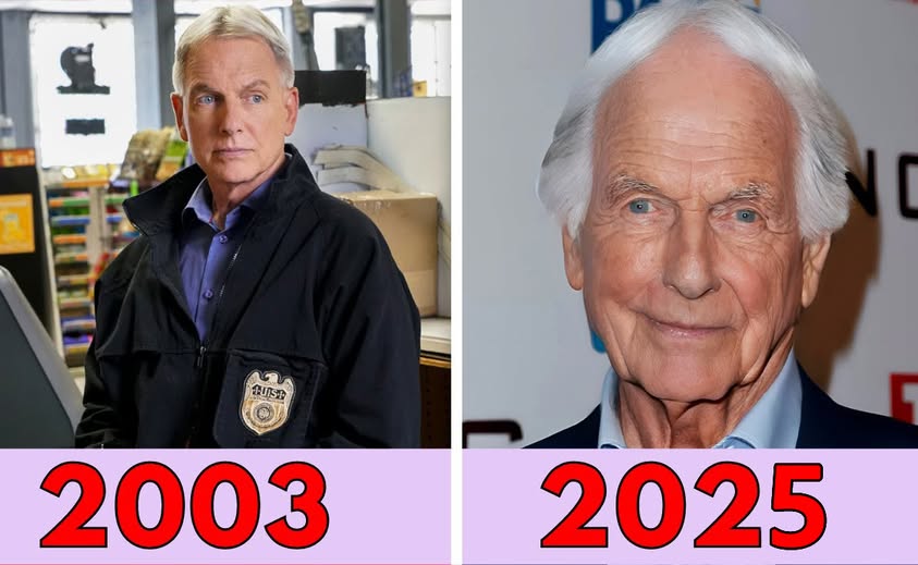 Ziva - NCIS Cast Then and Now: How the Stars Have Changed by 2025 ...