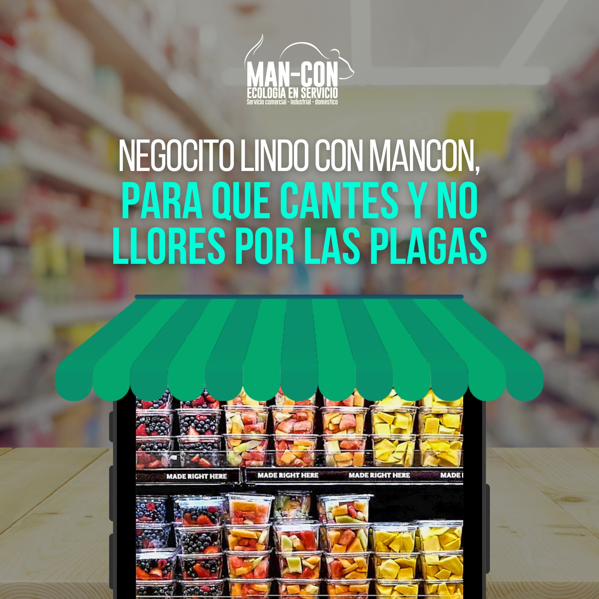 Mancon - Tú puedes disfrutar la tranquilidad de saber tus espacios ...