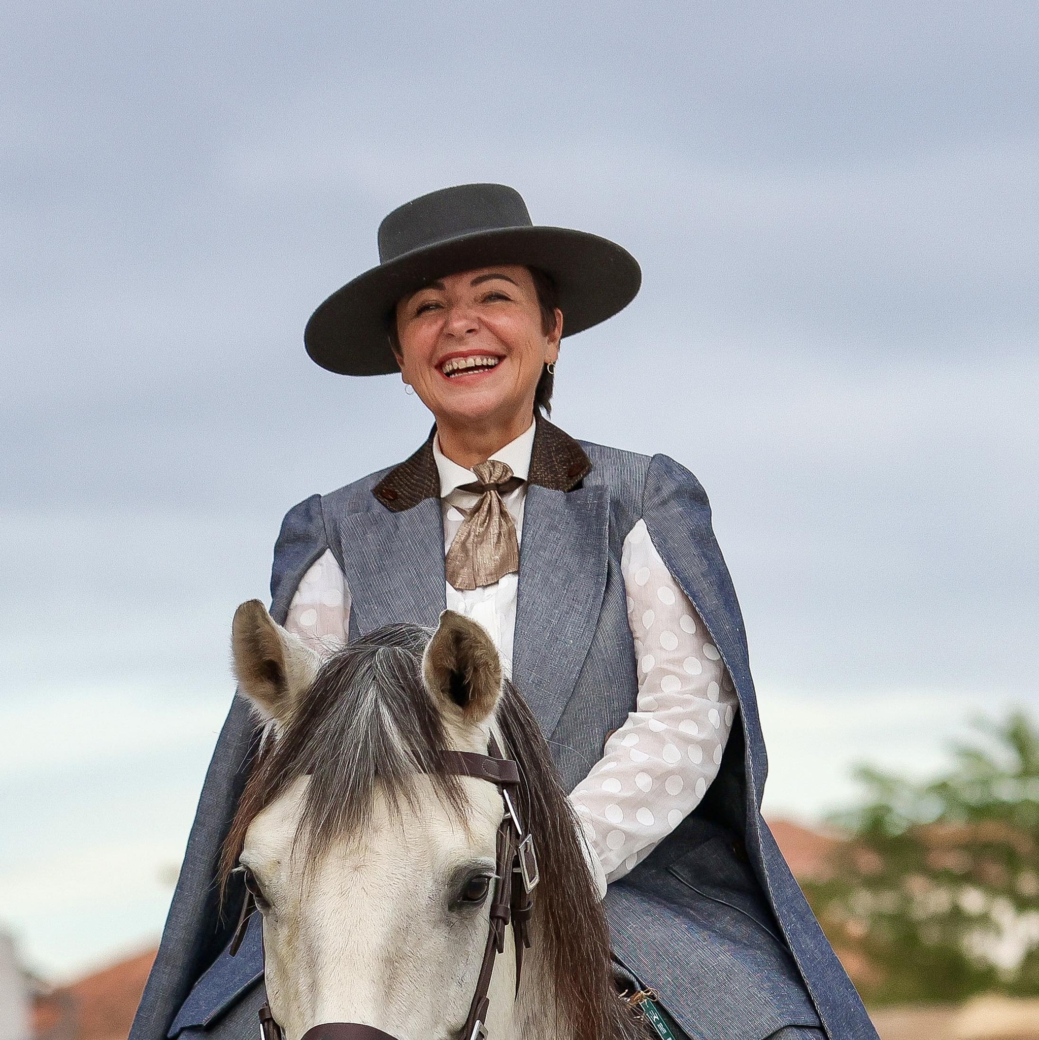 Meet Quebrante and his story. 🐎🇵🇹 He is a Lusitano bred by Diego ...