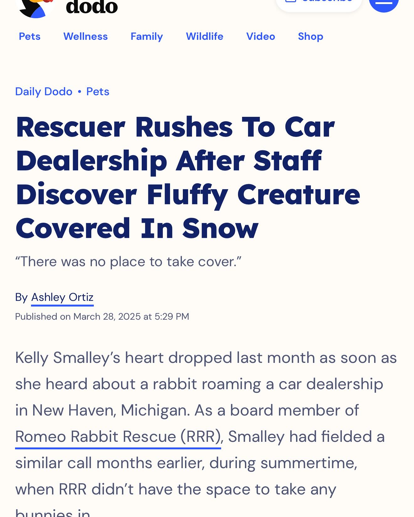 Romeo Rabbit Rescue 501c3 Non-Profit Corporation