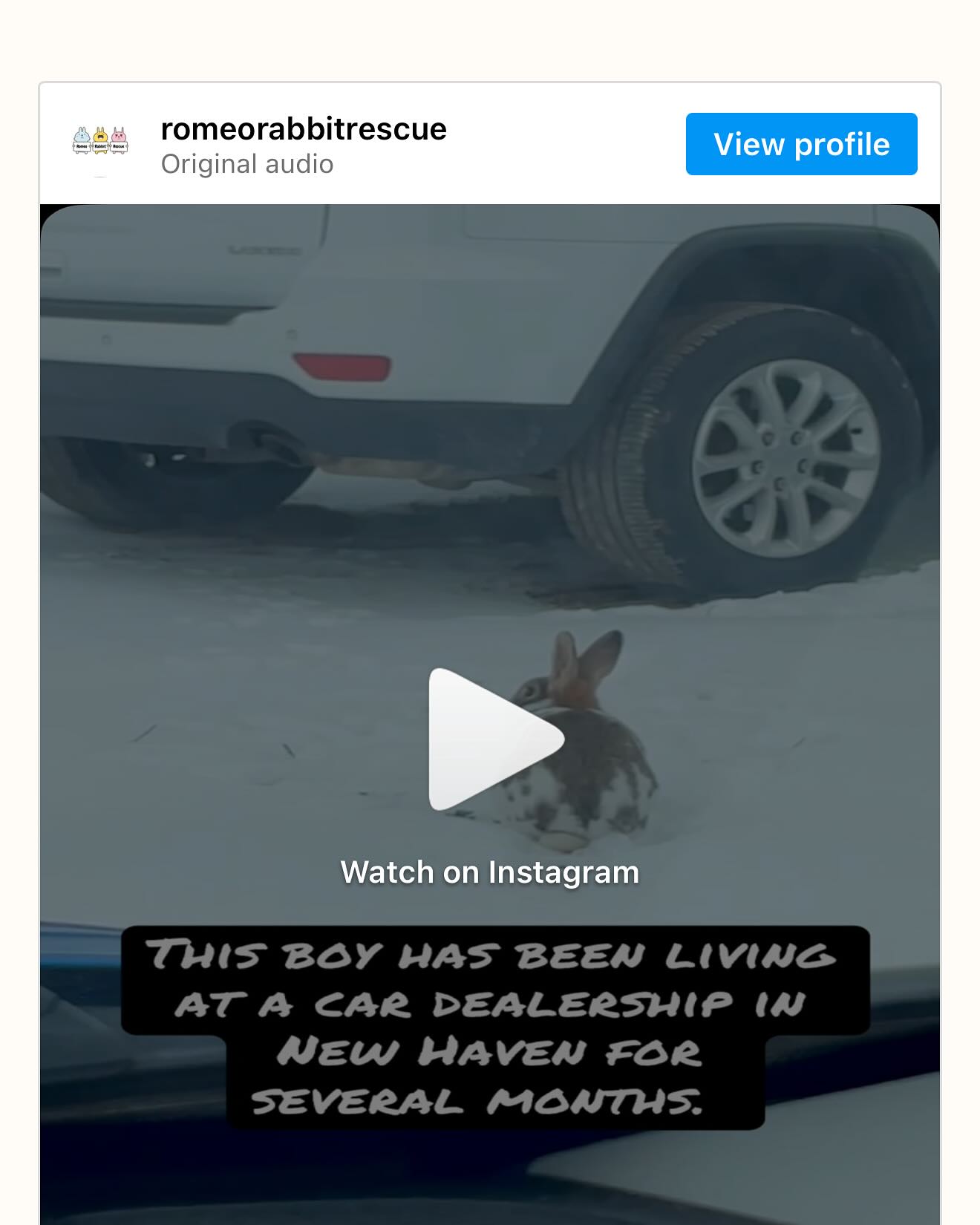 Romeo Rabbit Rescue 501c3 Non-Profit Corporation