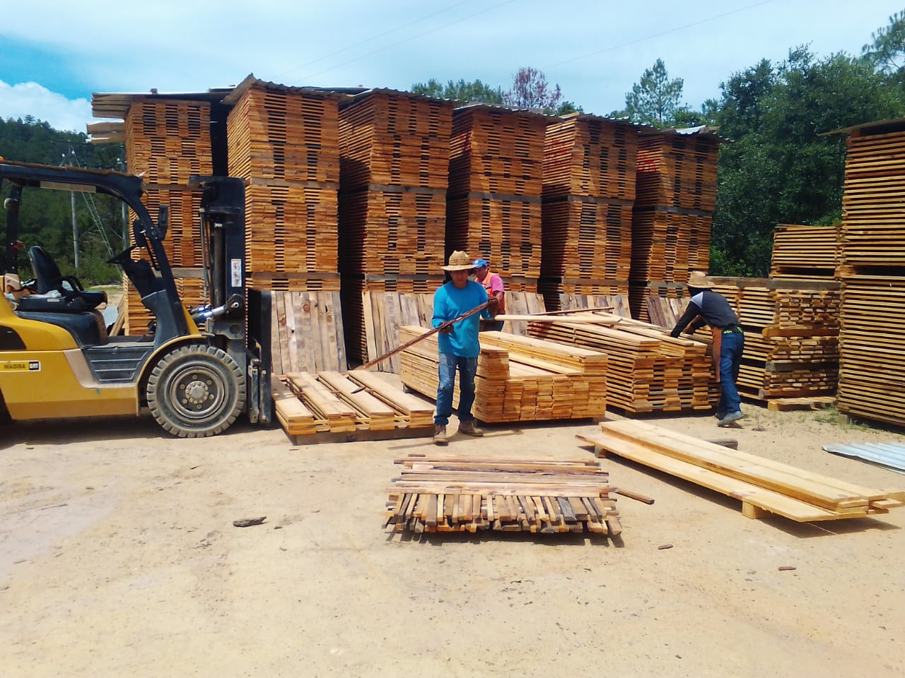La CONAFOR brinda apoyos para... - Comisión Nacional Forestal