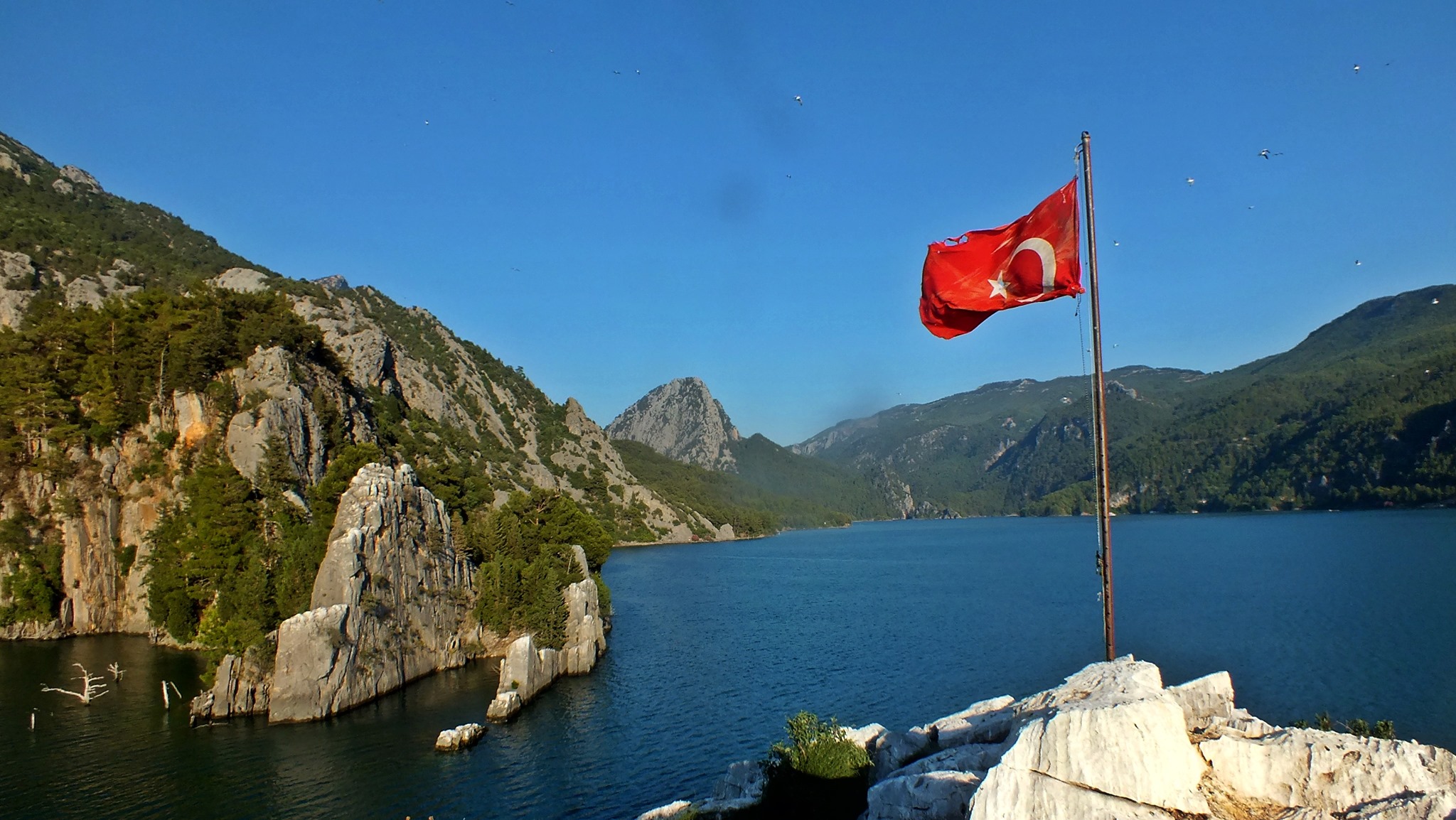 Tuncer koç