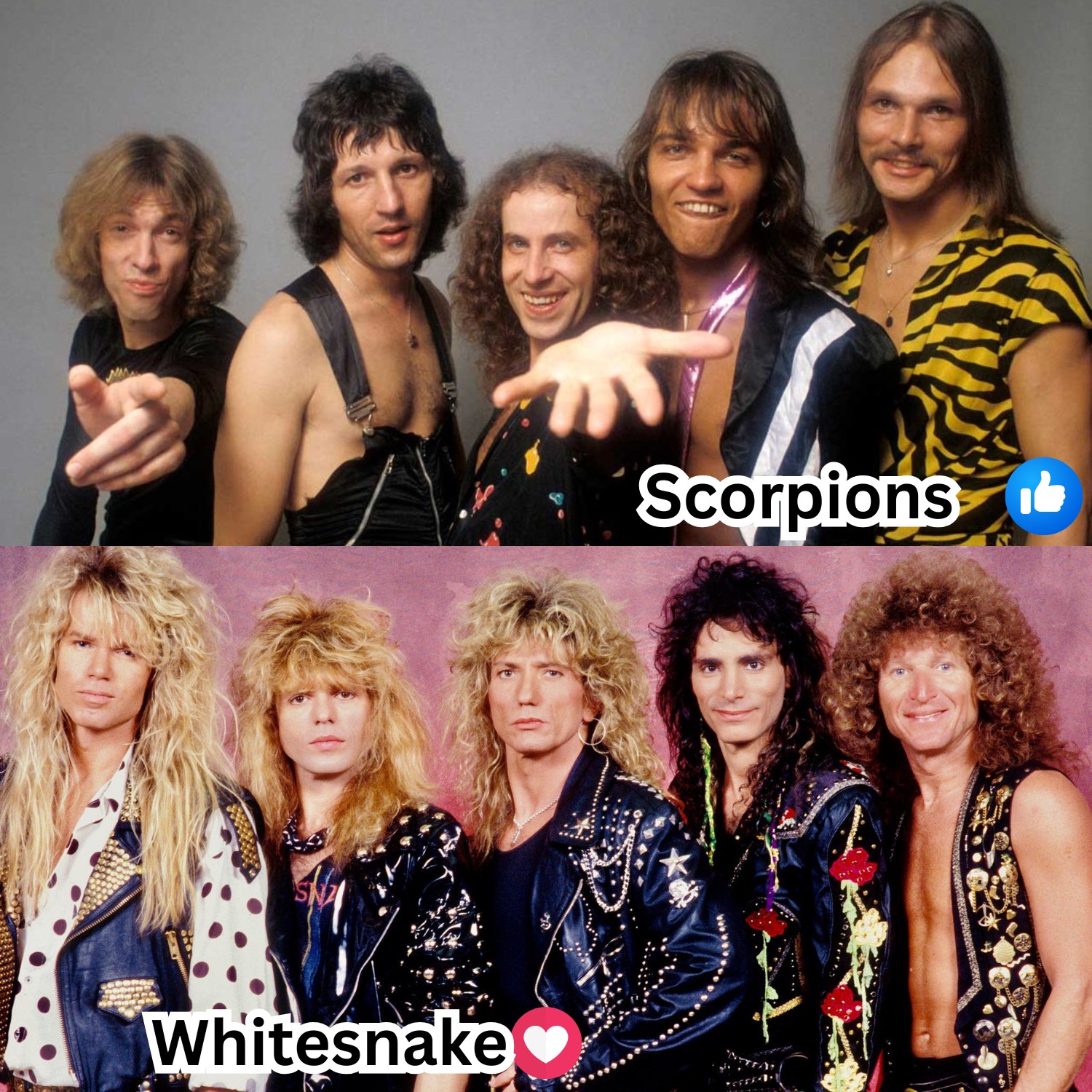 👍 Whitesnake / ❤️ Europe / 😍 Scorpions 👍 Whitesnake