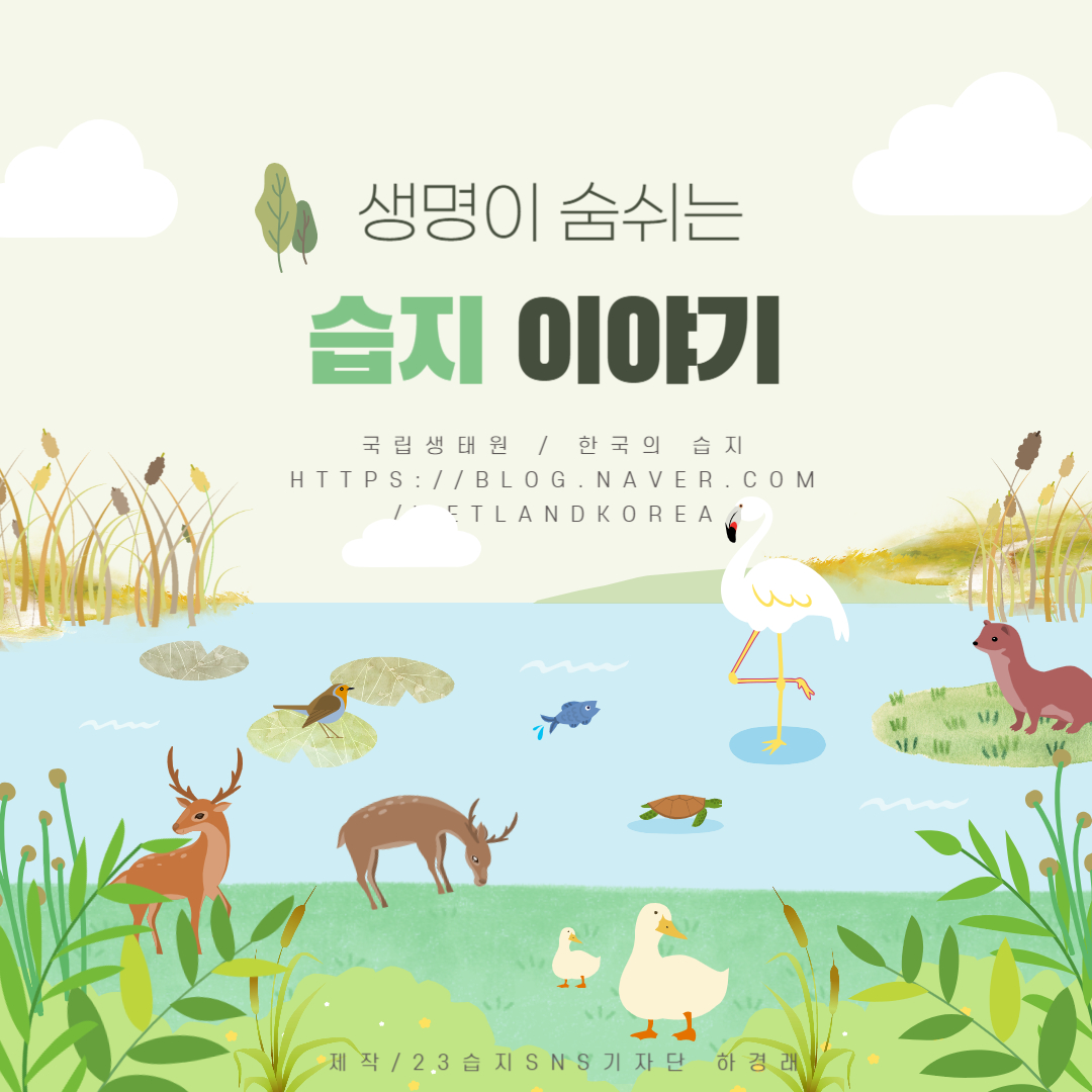 국립생태원 습지센터 - 언제나 좋은 제주입니다. 제주 동백동산은 크고 작은 습지가 곳곳에 보석처럼 숨겨져 있습니다. 이곳 ...