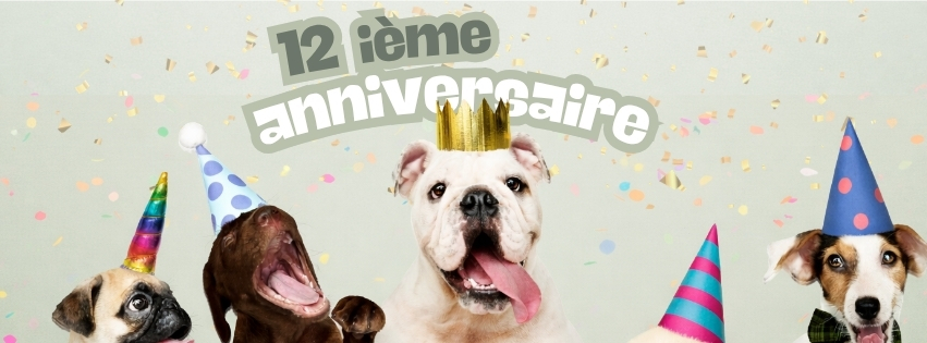 12-ans-d-j-a-se-f-te-en-grand