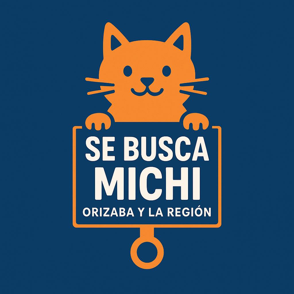 Se Busca Michi -... - Se Busca Michi - Orizaba y la Región