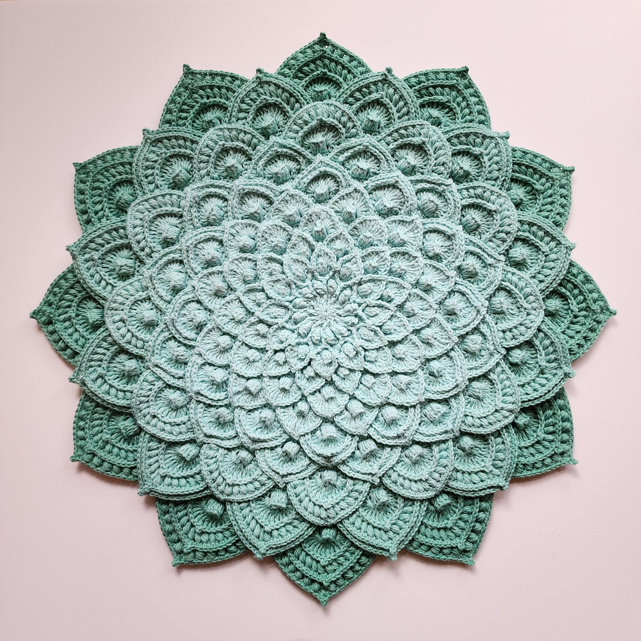 Echeveria Euphoria – Asteria Crochet Mandala Alize Bella Ombre 