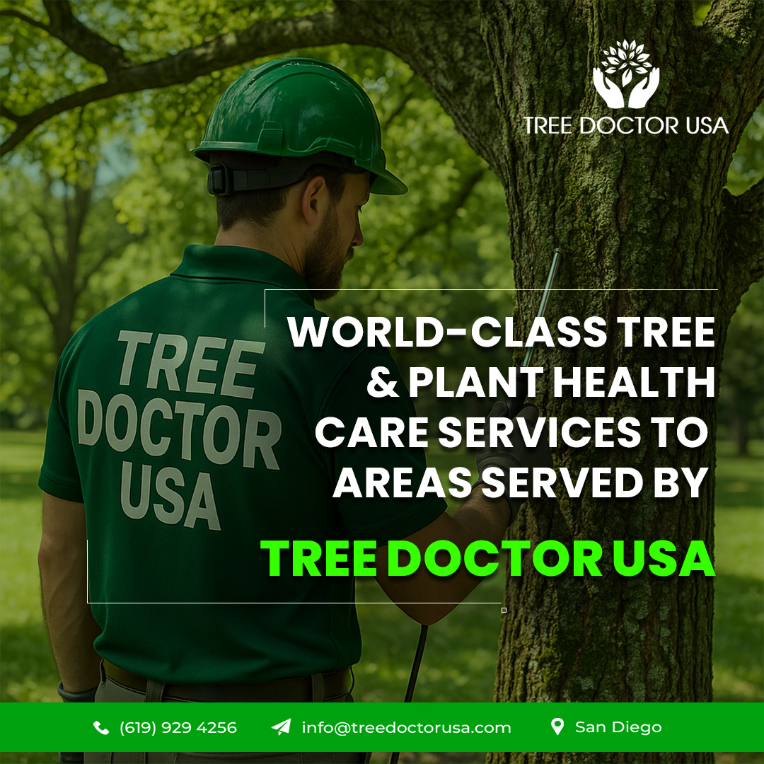 Tree Doctor USA | Murrieta CA