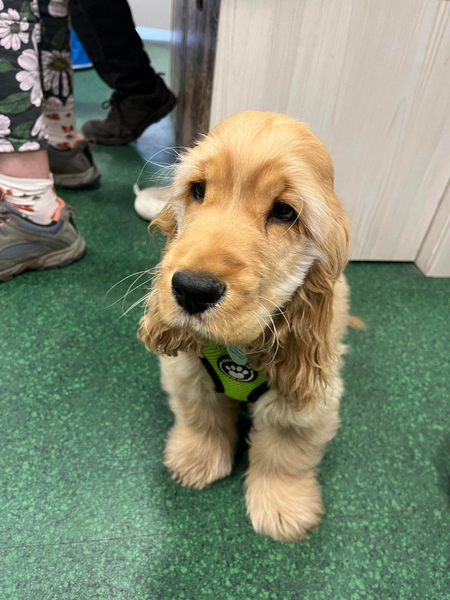 Pets at Home Handforth Dean | Handforth