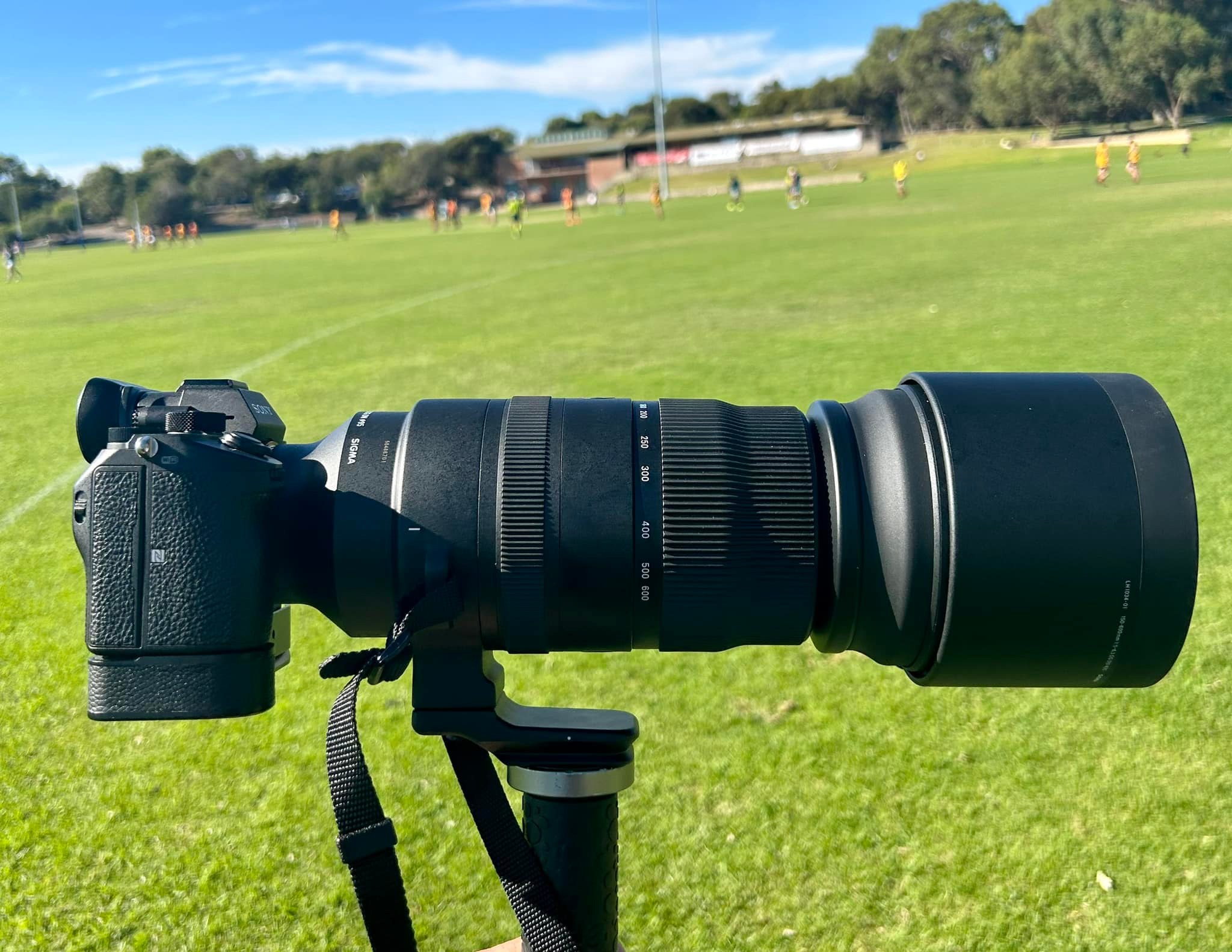 Testing Newly bought Sigma 150-600 Sport with Sony A7RivA