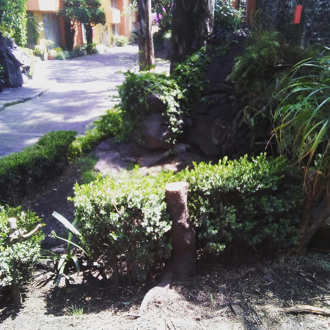 Jardinería, Ortega | Mexico City