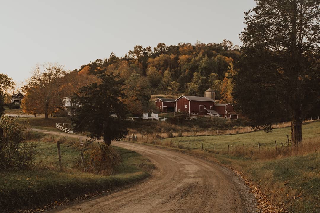 Connecticut Farms