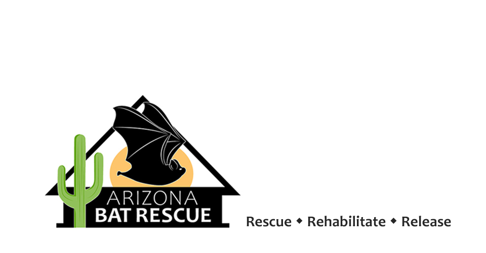 AZ Bat Rescue | Facebook